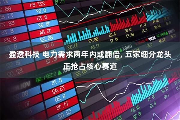 盈透科技 电力需求两年内或翻倍, 五家细分龙头正抢占核心赛道