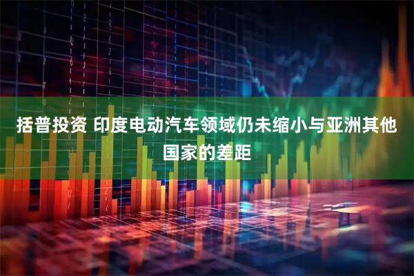 括普投资 印度电动汽车领域仍未缩小与亚洲其他国家的差距