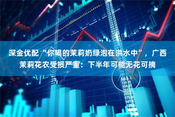 深金优配 “你喝的茉莉奶绿泡在洪水中”,广西茉莉花农受损严重:下半年可能无花可摘