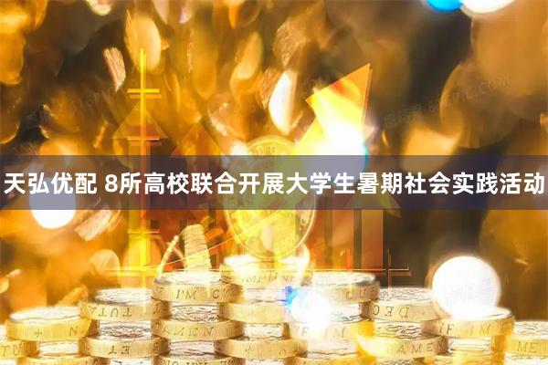 天弘优配 8所高校联合开展大学生暑期社会实践活动